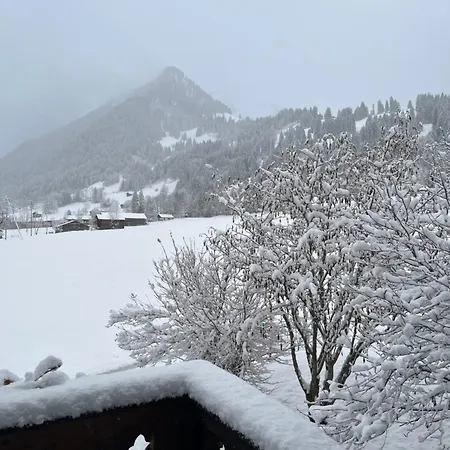 Des Rosiers In Gstaad Villa *