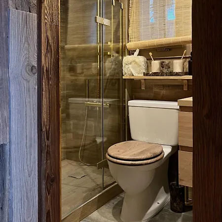 Villa Des Rosiers In Gstaad