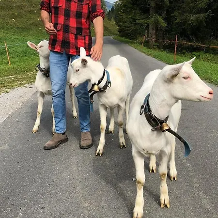 Des Rosiers In Gstaad * Kalberhoni