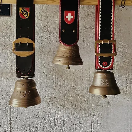 Βίλα Des Rosiers In Gstaad
