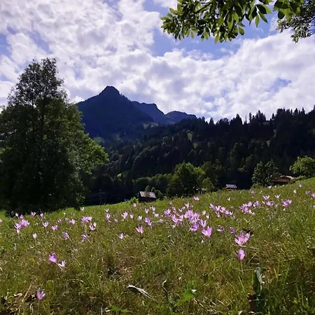 Des Rosiers In Gstaad Villa *